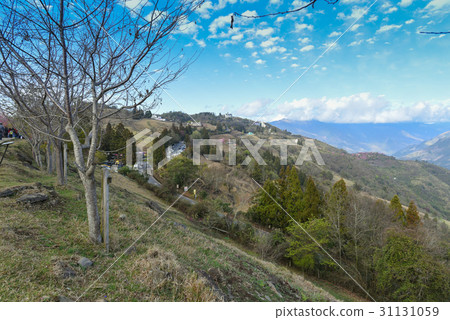 青青草原 青青草原 31131059