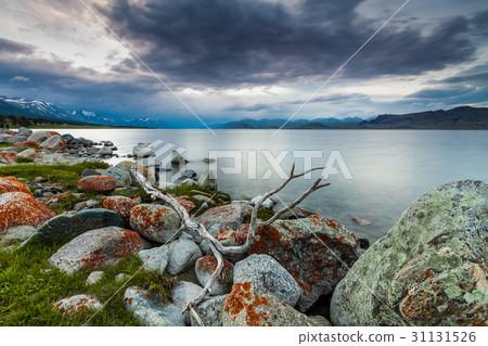 Cloudy sunset on a mountain lake. Mongolia 31131526