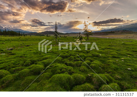 Russia, Altai mountains, Severo-Chui Range 31131537