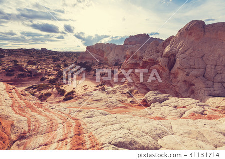 White pocket 31131714