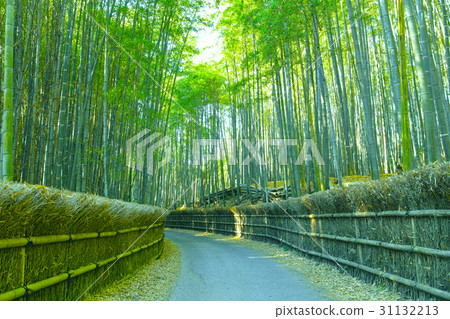 京都竹林和小徑 京都竹林和小徑 31132213