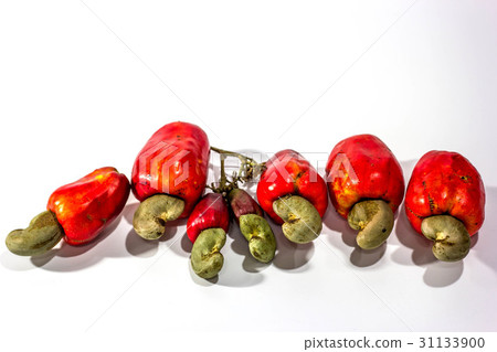 cashew fruit and nuts on white background cashew fruit and nuts on white background 31133900