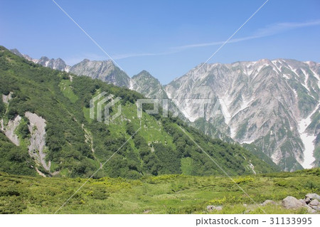 來自Happo一條自然研究道路的清新綠色，壯麗景色的Shinju Hakuba北阿爾卑斯山立山山脈Tengu山脊的壯麗景色 31133995