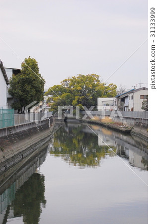 Mushi no Kush(大阪府Kadoma市) Mushi no Kush(大阪府Kadoma市) 31133999