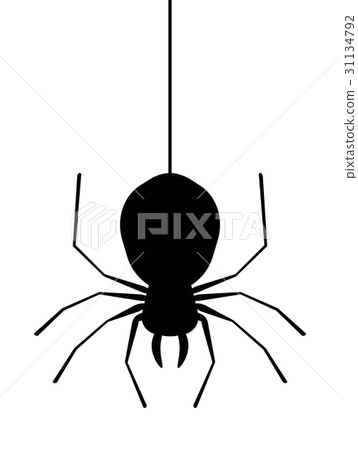 Spider that hangs from thread Spider that hangs from thread 31134792