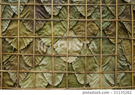 green dry leaves wall 31135262