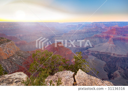 Amazing panorama view of Grand Canyon Hopi Point 31136316