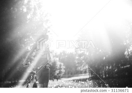 Silhouette of girl driving bicycle outdoor. Sunny Silhouette of girl driving bicycle outdoor. Sunny 31136671