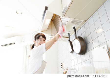 domestic house cleaners