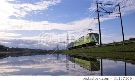 Green world 31137109