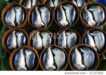 Mae Klong Mackerel fish sold on market Mae Klong Mackerel fish sold on market 31137802