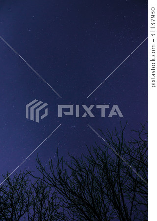 night starry sky night starry sky 31137930