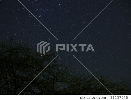 night starry sky 31137936