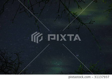 night starry sky 31137937
