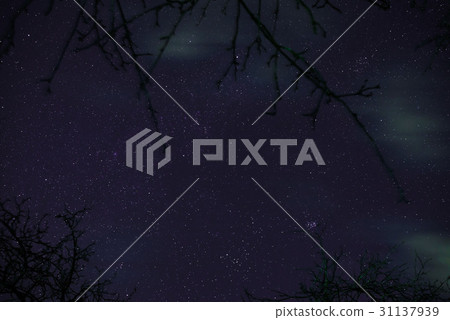night starry sky 31137939