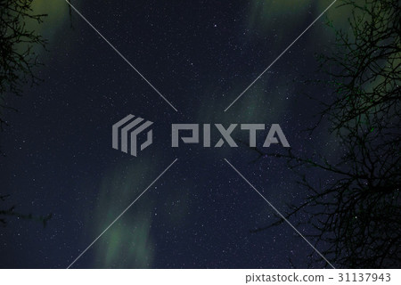 night starry sky night starry sky 31137943