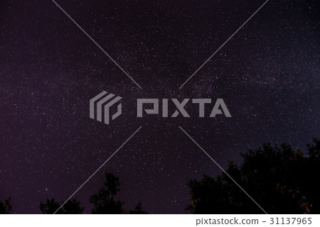 Blue dark night sky with many stars 31137965