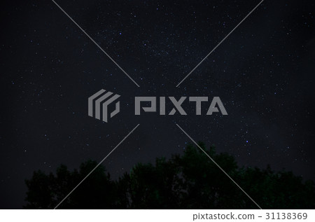 beautiful night sky, the Milky Way and the trees beautiful night sky, the Milky Way and the trees 31138369