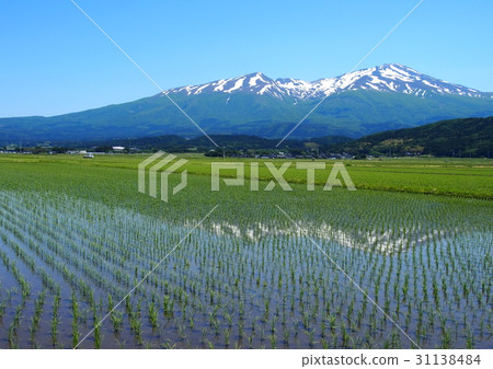 Shonai plain and Chokaiyama with remaining snow Shonai plain and Chokaiyama with remaining snow 31138484