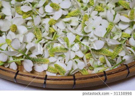 Dokudami flower 31138998