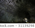 Yodo-dong / Okinoerabu-jima 31139298