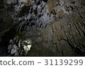 Yodo-dong / Okinoerabu-jima 31139299