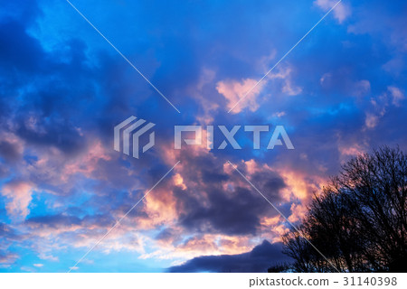 Winter snow covered forest on the background 31140398
