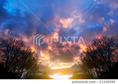 Winter snow covered forest on the background  31140399