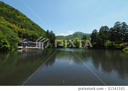 Golden Scales Lake (early summer) 31141181
