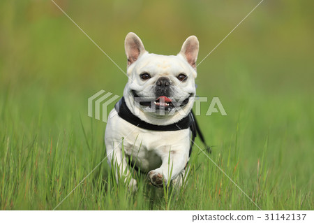 Yahoo! Exhilarating and comfortable ~! Yahoo! Exhilarating and comfortable ~! 31142137