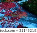 Autumn leaves of Akan Takimi Bridge 31143219