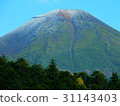 Aku Fuji 31143403