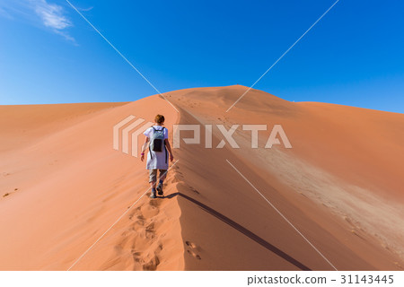 Tourist walking on the scenic dunes of Sossusvlei. 31143445