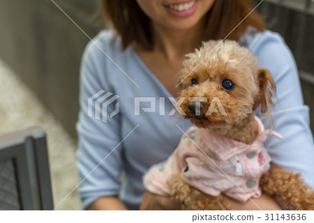 A woman holding a dog 31143636