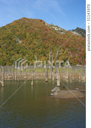 Autumn in Conguillio National Park 31143970