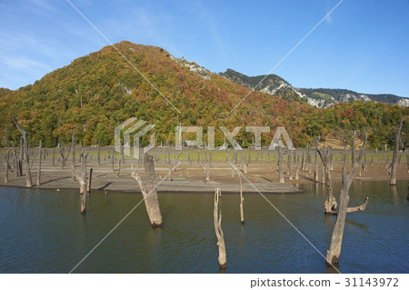 Autumn in Conguillio National Park 31143972