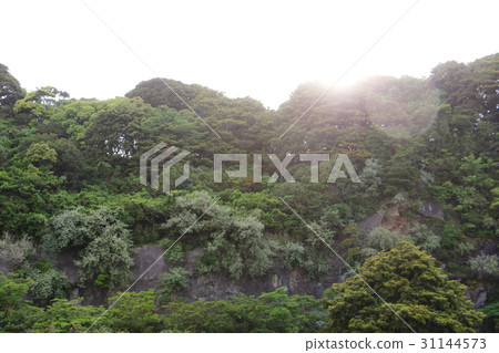 風景 31144573