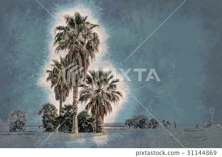 Palm trees along the coast in Palermo at beautiful 31144869