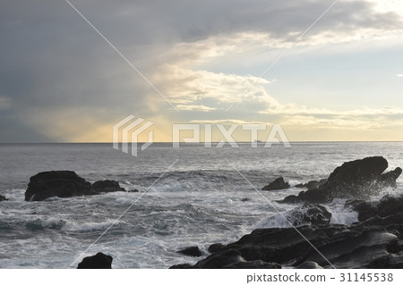 海洋和暮光之城 31145538
