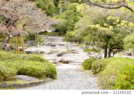 日本花園踏腳石 日本花園踏腳石 31145539