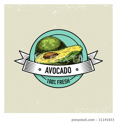 Avocado Vintage, hand drawn fresh fruits 31145853
