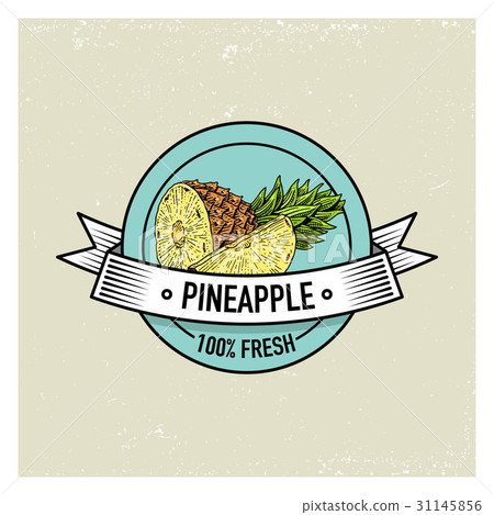 Pineapple Vintage, hand drawn fresh fruits 31145856