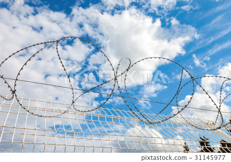 Barbed wire against the blue sky background  31145977