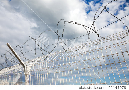 Barbed wire against the blue sky background Barbed wire against the blue sky background 31145978