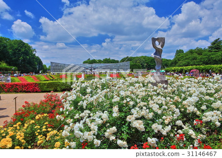 金代植物園春天玫瑰節 金代植物園春天玫瑰節 31146467