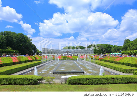 The fountain of the Jindai plant park 31146469