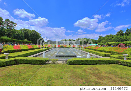 The fountain of the Jindai plant park The fountain of the Jindai plant park 31146472