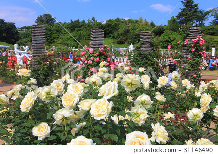 生田綠地Burakuen 31146490