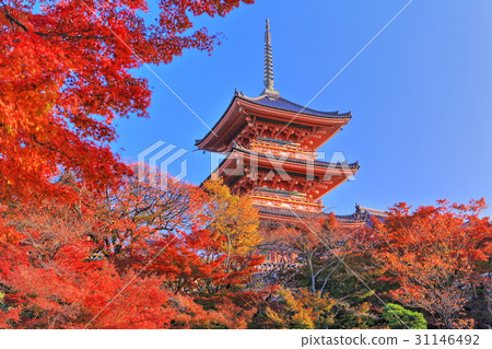 Kiyomizu Temple of the autumn leaves (triple tower) 31146492