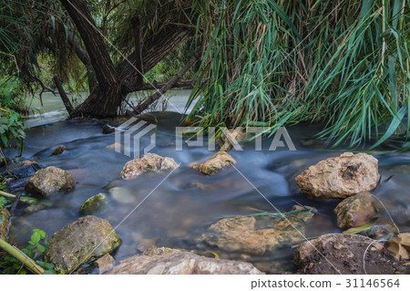 Peaceful Stream 31146564